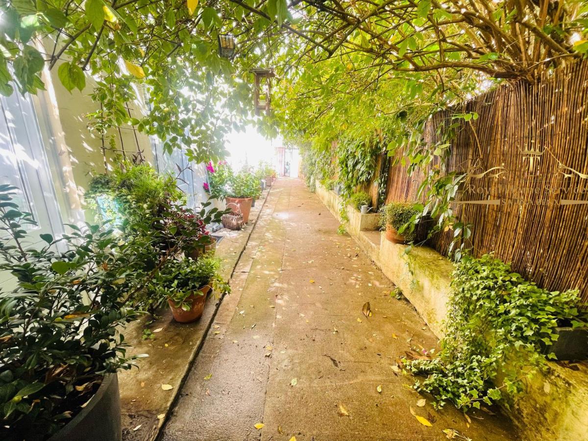 Le Jardin Croix Roussien Apartment Lyon Ngoại thất bức ảnh