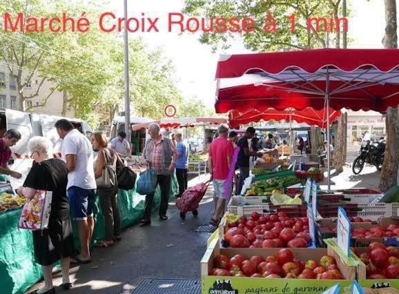 Le Jardin Croix Roussien Apartment Lyon Ngoại thất bức ảnh